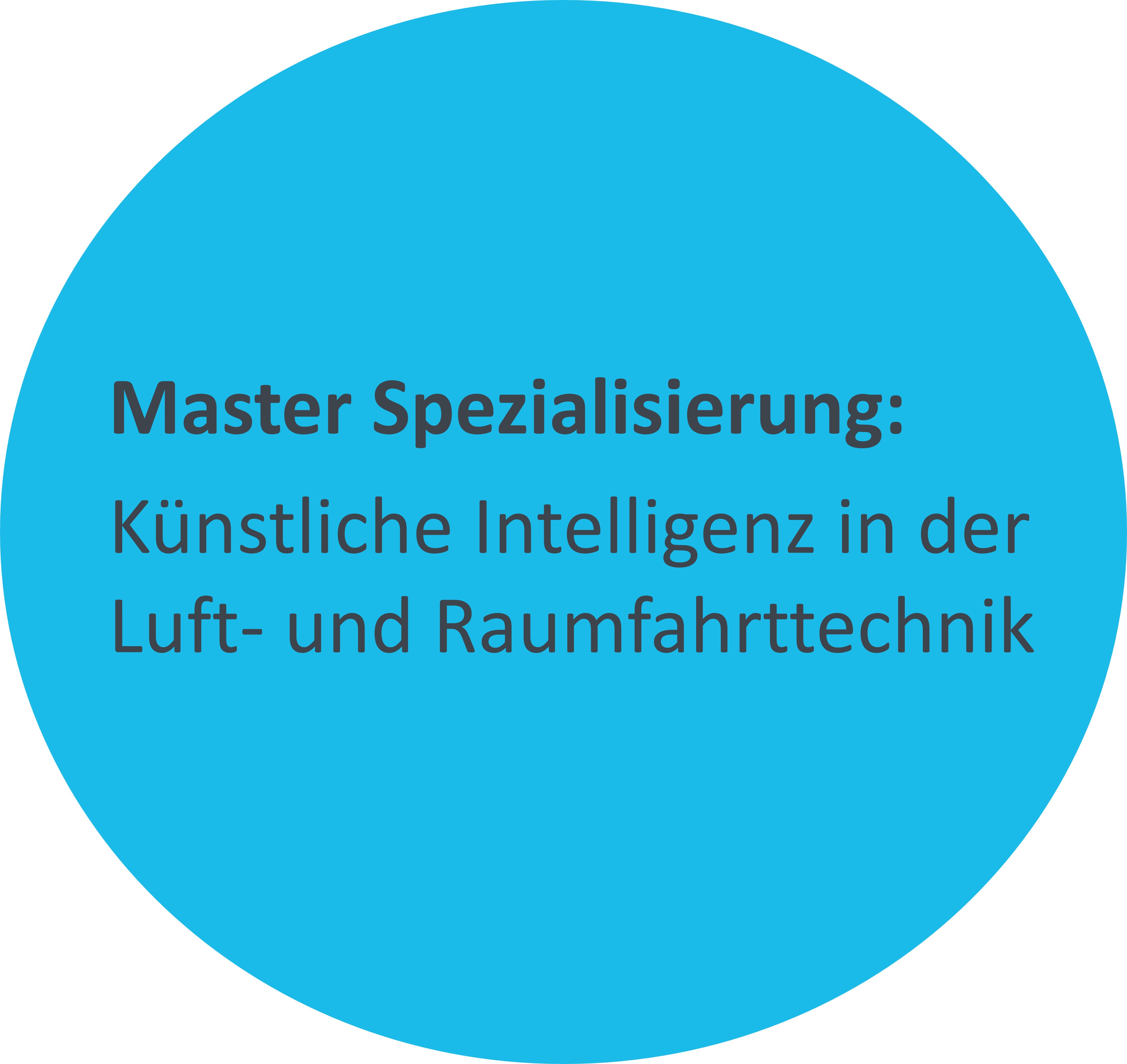 Blauer Kreis mit Schrift: Master Spezialisierung
